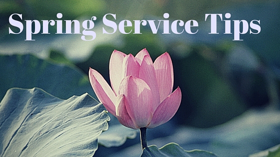 Getting Your Vehicle Ready for Spring