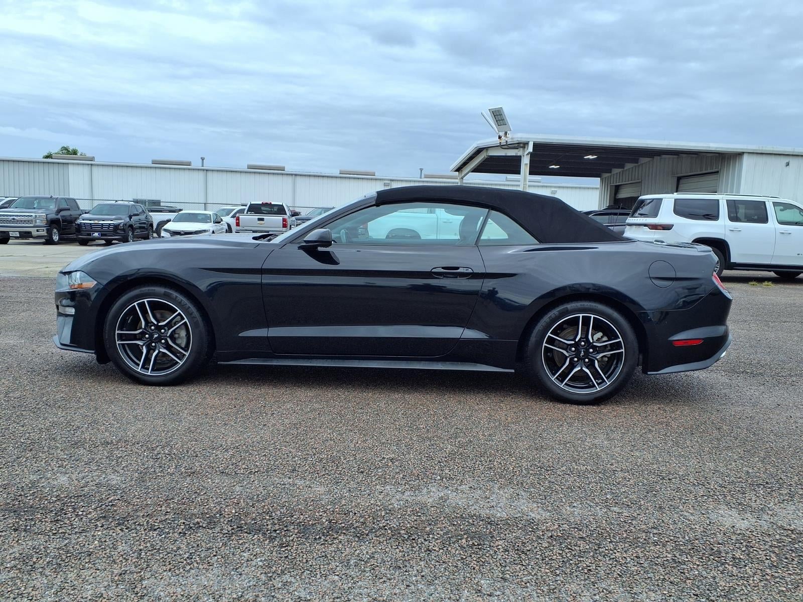 2023 Ford Mustang EcoBoost
